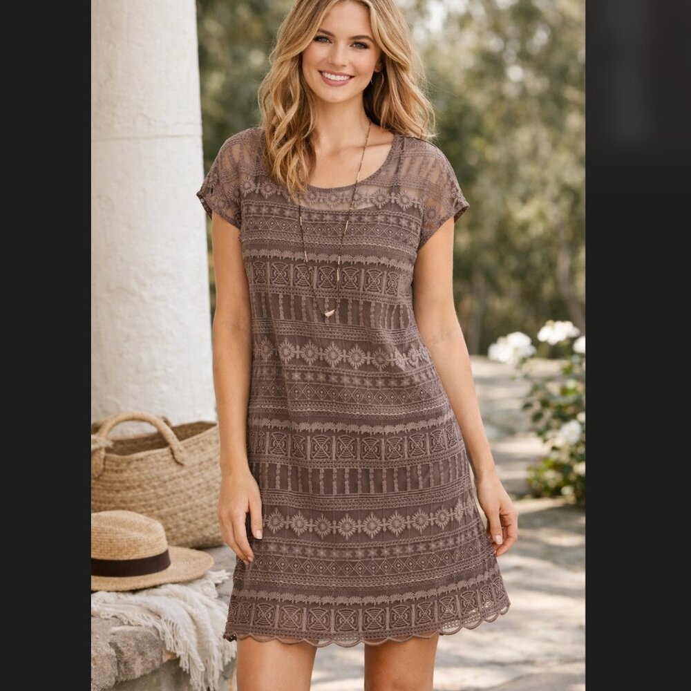Garnet Hill Lace Dress 4 Brown Taupe Embroidered Lined Shift Slip Scalloped Hem